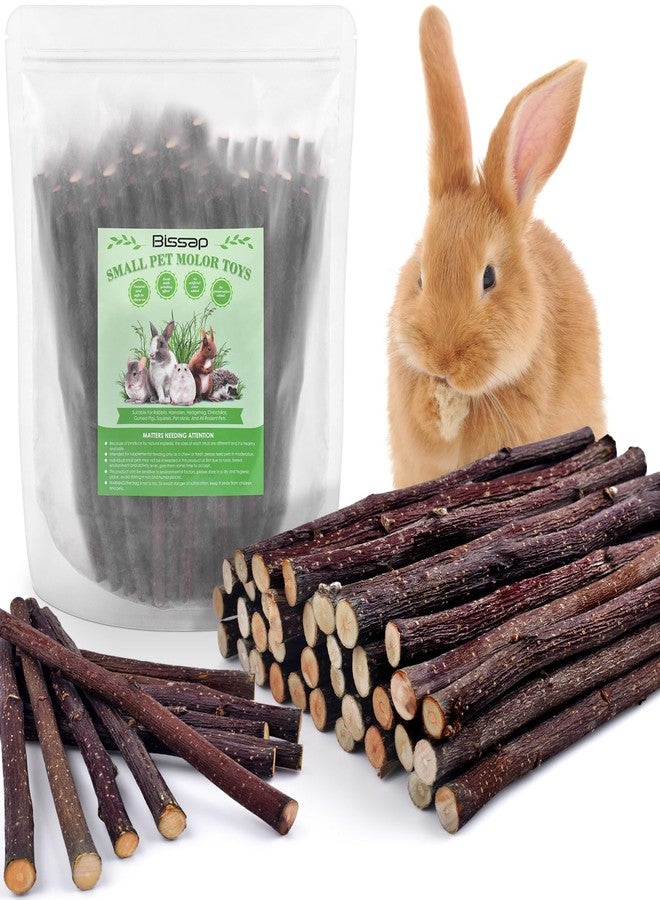 Bissap 230g/8.1oz Apple Sticks for Rabbits, Natural Bunny Chew Toys and Treats for Chinchilla Guinea Pig Hamster Gerbil Small Animals Pet Apple Wood Stick Toys Teeth Grinding - Image 1